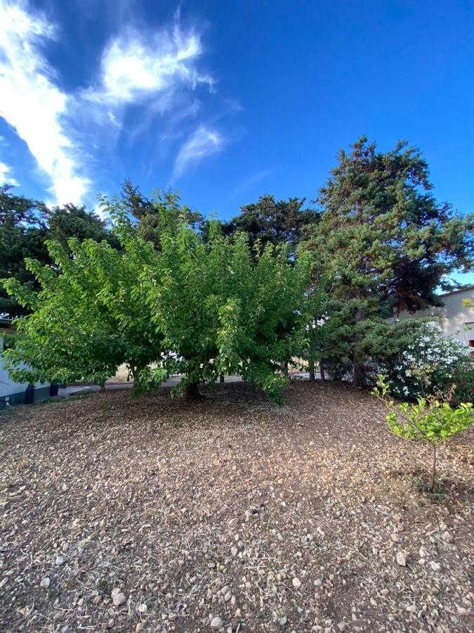 La Casa Del Gelso Apartamento Tonnara di Bonagia Exterior foto
