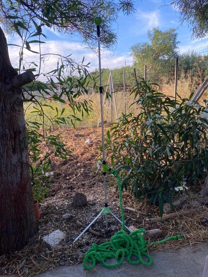 La Casa Del Gelso Apartamento Tonnara di Bonagia Exterior foto