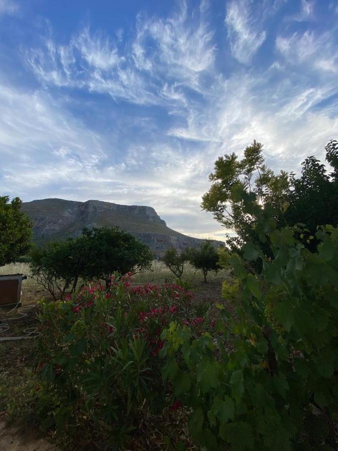 La Casa Del Gelso Apartamento Tonnara di Bonagia Exterior foto