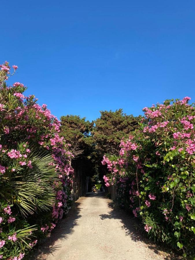 La Casa Del Gelso Apartamento Tonnara di Bonagia Exterior foto
